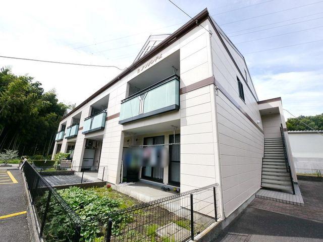 クリザンテム