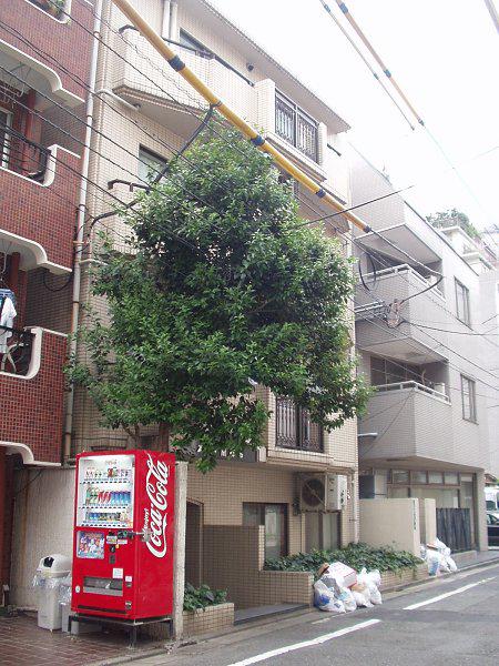 ストーク南麻布(ワンルーム/2階)