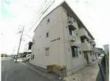 ウィルモアM2