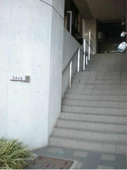 FACE S