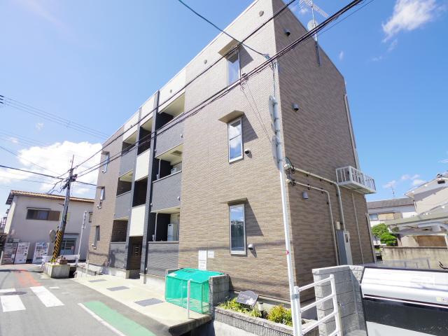 アプリコット