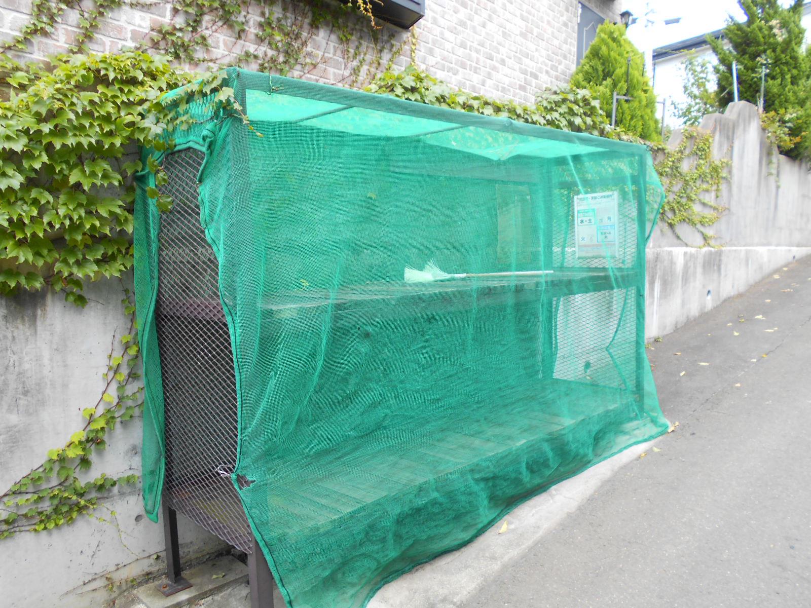 セントポーリア