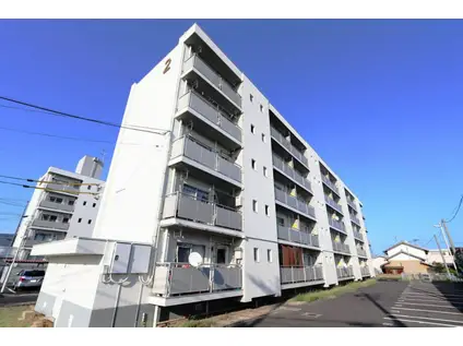 ビレッジハウス白枝1号棟(2K/4階)の外観写真