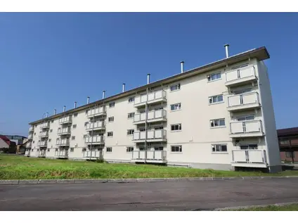 ビレッジハウス野幌2号棟(2LDK/1階)の外観写真