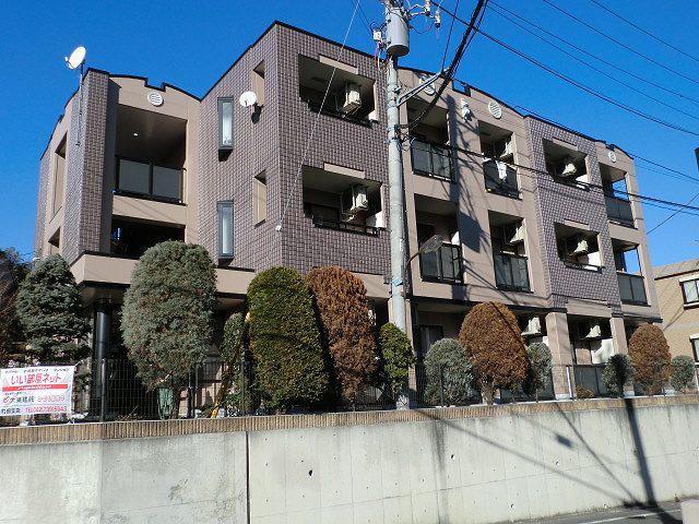 セレニーテ