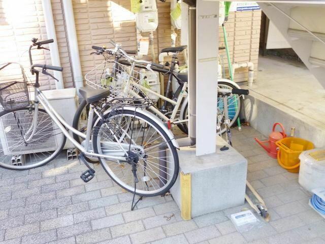 オーキッド